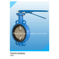 CF8 Disc Resilient Seat Lever Cast Steel Wafer Butterfly Valve